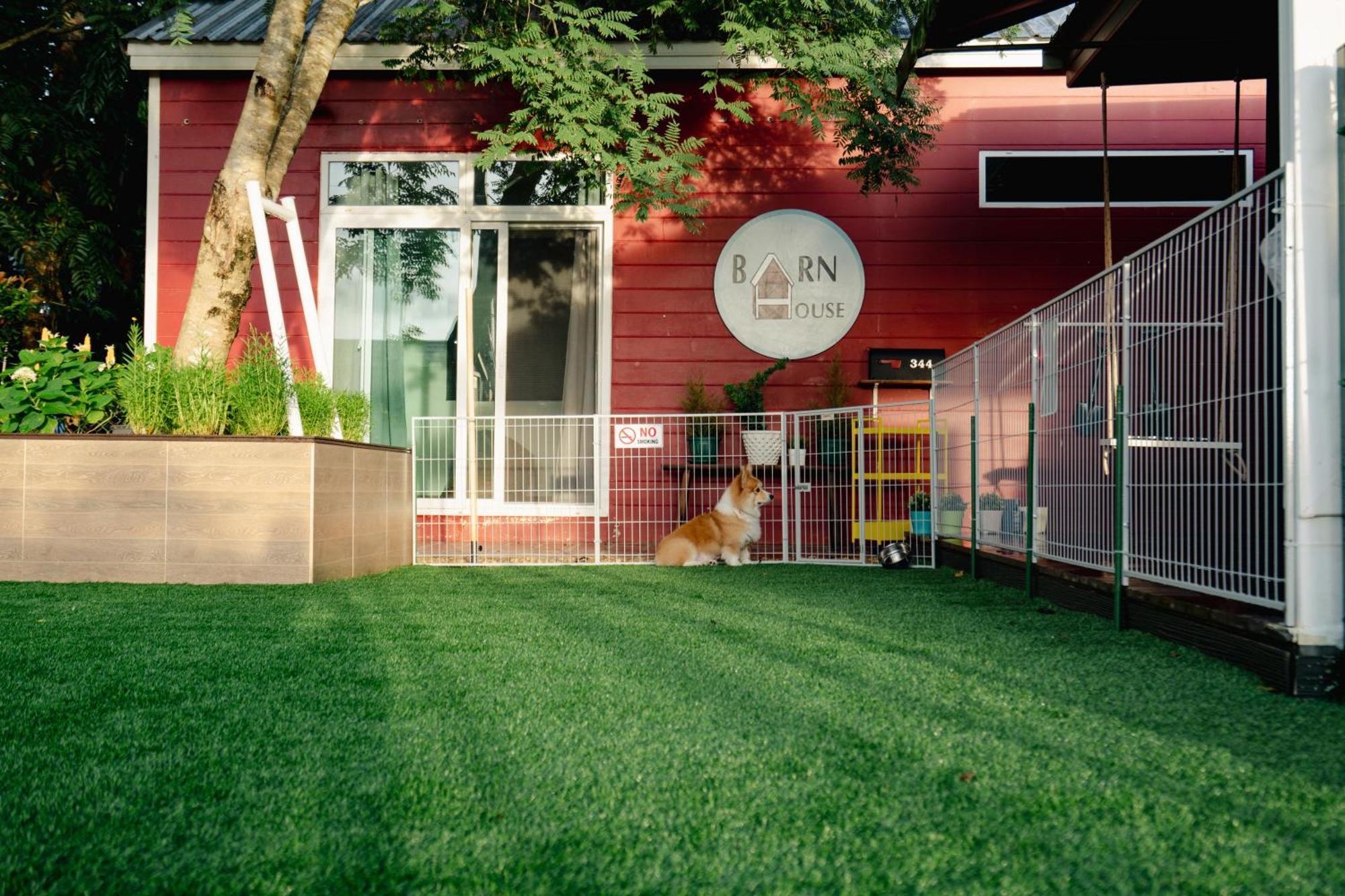 Вілла Barn House Pet Friendly Pong Talong Екстер'єр фото