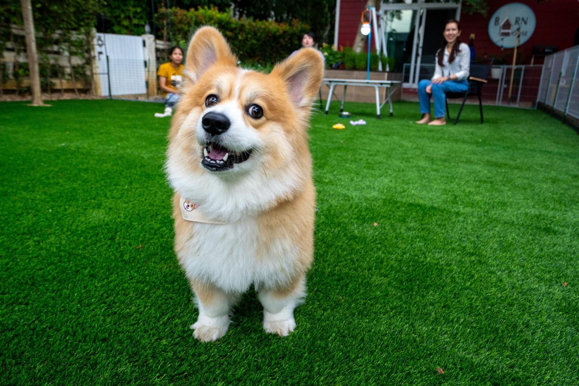 Вілла Barn House Pet Friendly Pong Talong Екстер'єр фото